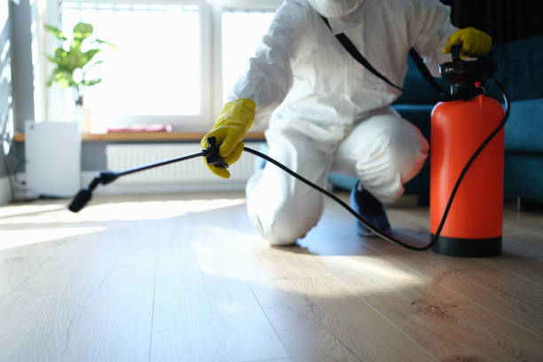 Reliable Odor Removal contractor in Dedham, MA by Trauma Clean Pros